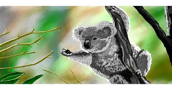 https://www.drawize.com/drawings/images/52d0ed27_koala