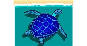 Morska kornjača - autor: MaRi