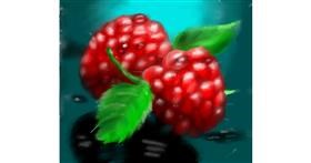 Drawing of Raspberry by Yasi