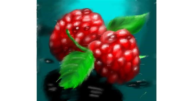 Drawing of Raspberry by Yasi