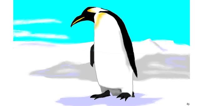 Pingvin - autor: flowerpot