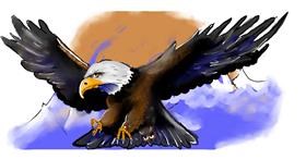 Drawing of Eagle by J