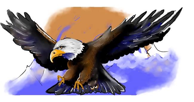 Drawing of Eagle by J