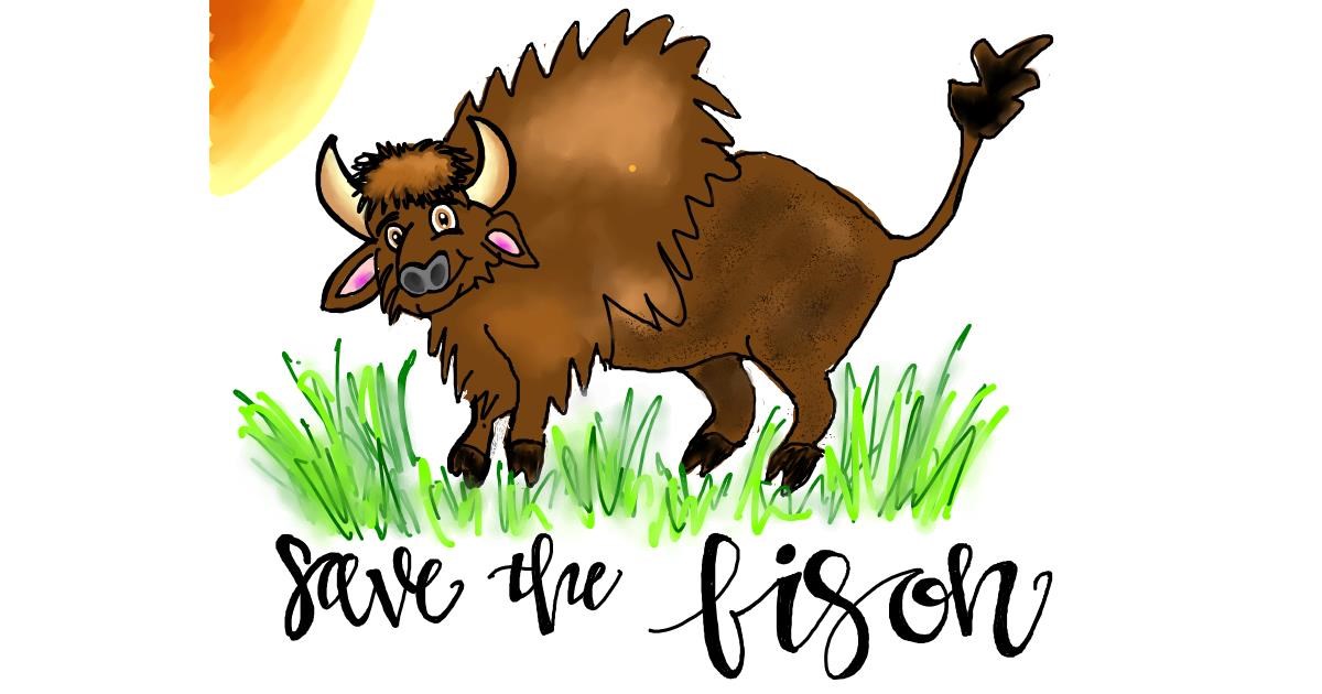 Bison Drawing by - Drawize Gallery!