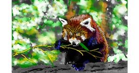 Drawing of Red Panda by teidolo