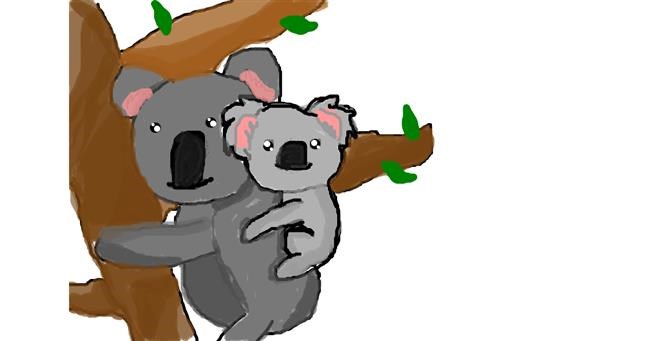 koalas hugging drawing