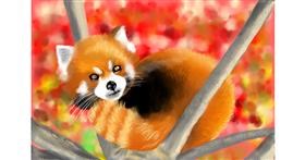 Drawing of Red Panda by RadiouChka