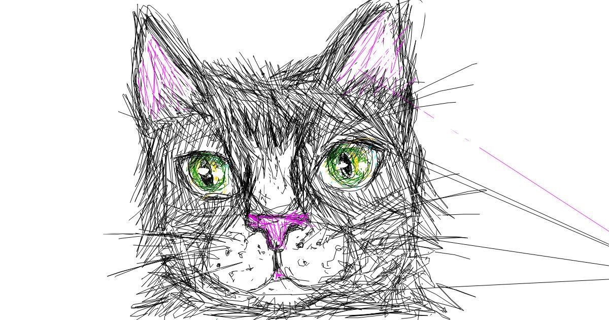 Featured image of post How To Draw A Kiwi Cat Kiwi is a strange bird so the structure of the drawing is also unusual