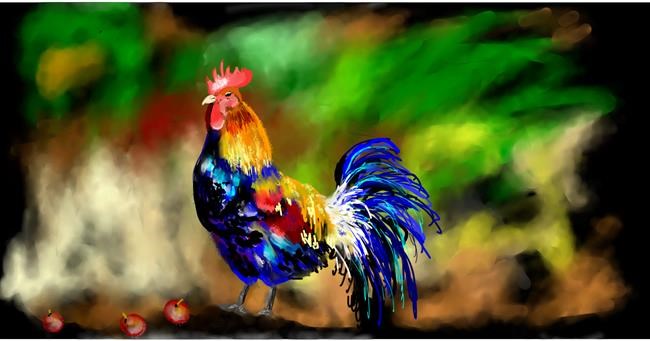 Drawing of Rooster by Eclat de Lune