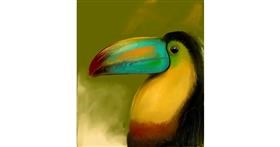 Drawing of Toucan by nessa