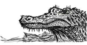 Aligator - autor: Jana