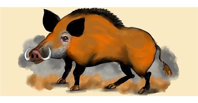 Drawing of Wild boar by DebbyLee