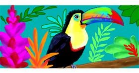 Drawing of Toucan by DebbyLee