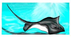 Drawing of Stingray by DebbyLee