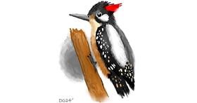 Drawing of Woodpecker by GreyhoundMama