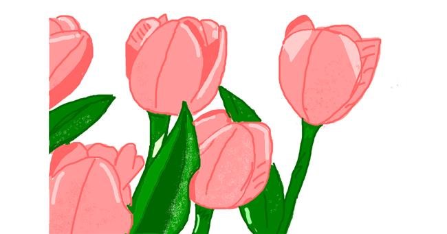 Drawing of Tulips by Нямка 