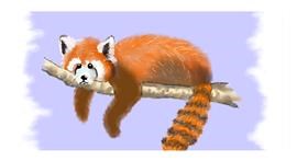 Drawing of Red Panda by DebbyLee