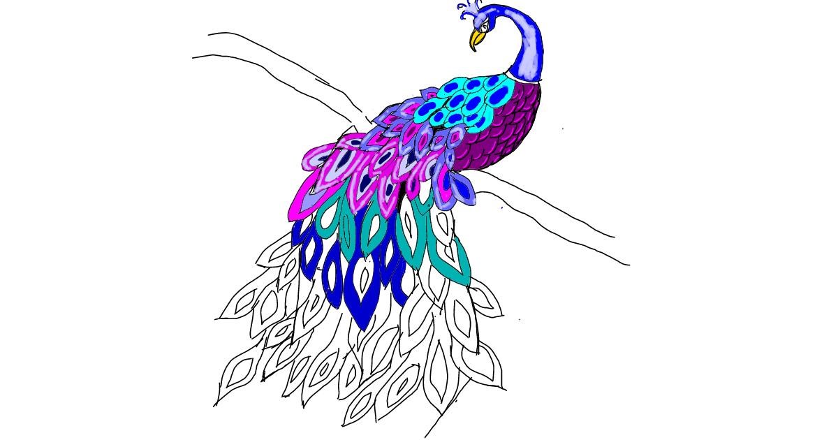 Peacock Drawing by Leo - Drawize Gallery!