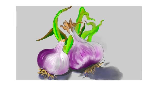 Drawing of Garlic by DebbyLee