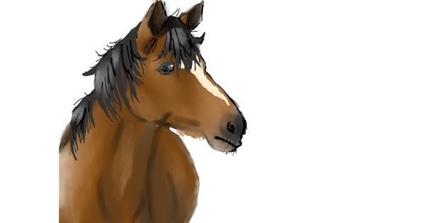 Drawing of Horse by 﫧Maruchan﫧 - Drawize Gallery!