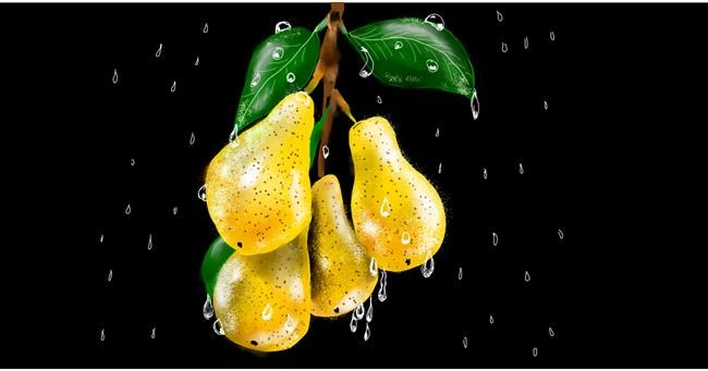 Drawing of Pear by Eclat de Lune