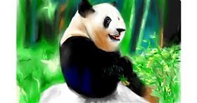 Drawing of Panda by Herbert