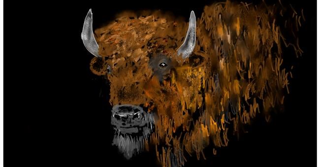 Drawing of Bison by Eclat de Lune