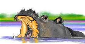 Drawing of Hippo by Swimmer 