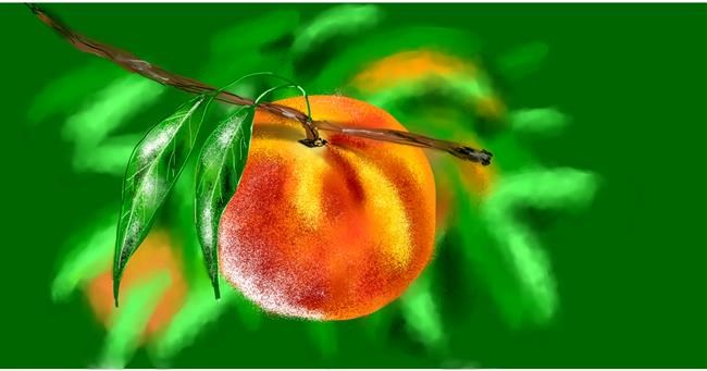 Drawing of Peach by Eclat de Lune