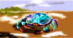 Drawing of Crab by Eclat de Lune