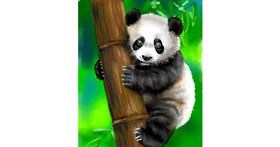 Drawing of Panda by Randi