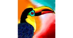 Drawing of Toucan by hatts