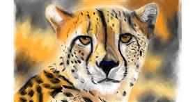 Gepard-Zeichnung von Herbert