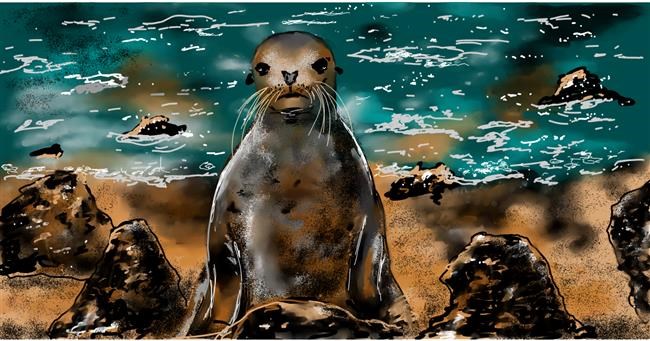 Drawing of Seal by Eclat de Lune