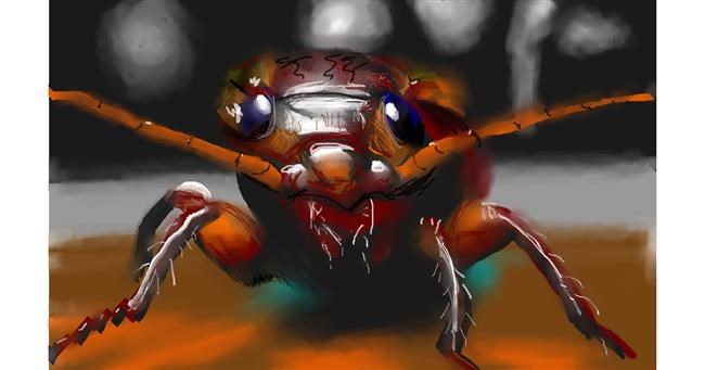 Drawing of Cockroach by Herbert