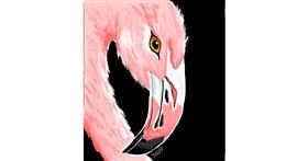 Drawing of Flamingo by GreyhoundMama