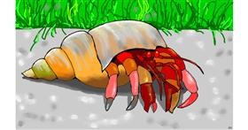 Drawing of Crab by flowerpot