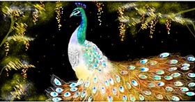 Drawing of Peacock by Eclat de Lune