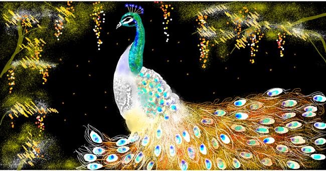 Drawing of Peacock by Eclat de Lune