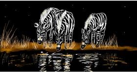 Drawing of Zebra by Eclat de Lune