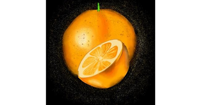 Drawing of Orange by Dona