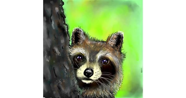 Drawing of Raccoon by Leah - Drawize Gallery!