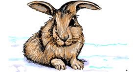 Drawing of Bunny by flowerpot