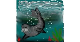 Drawing of Seal by Naaz