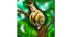 Drawing of Snail by Andromeda