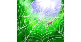 Drawing of Spider web by 新キノコ