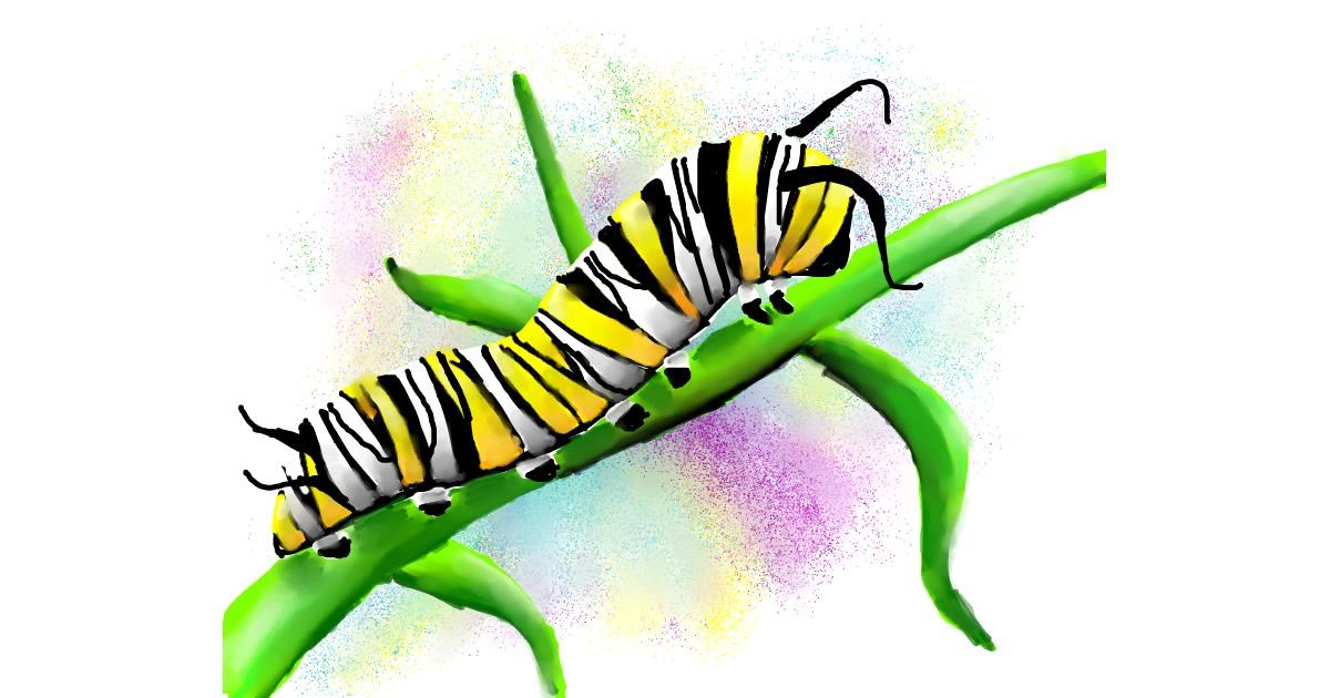 Drawing of Caterpillar by Autumn Drawize Gallery!