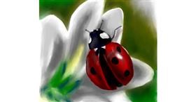 Drawing of Ladybug by Randi