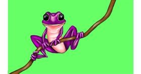 Drawing of Frog by Aminich