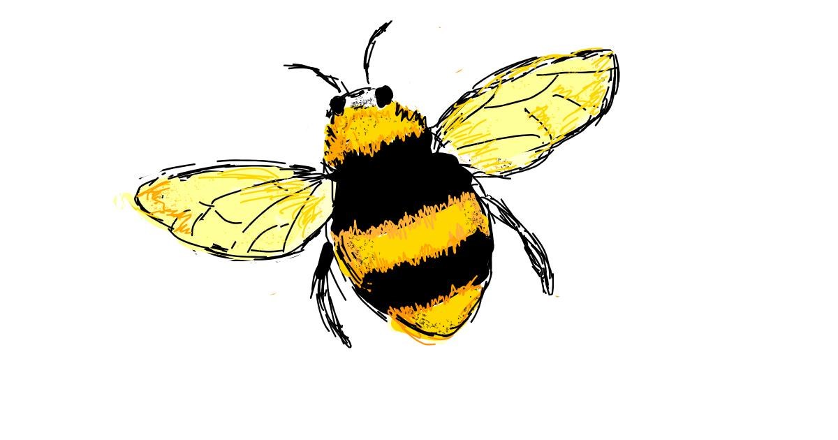 Drawing of Bee by Lsk Drawize Gallery!